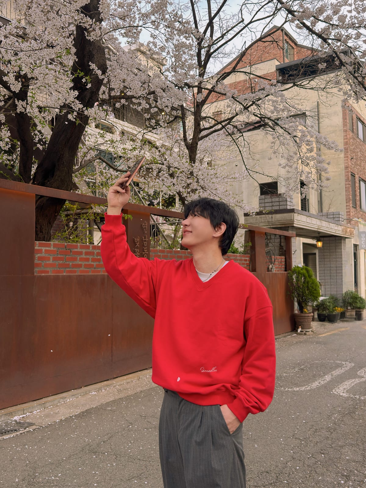 2026 벚꽃 — WKND MOOD