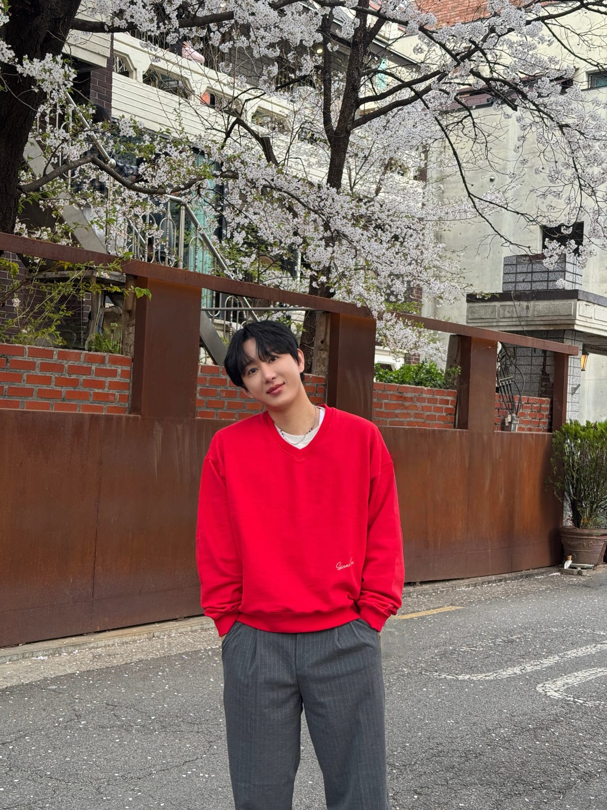 2026 벚꽃 — WKND MOOD
