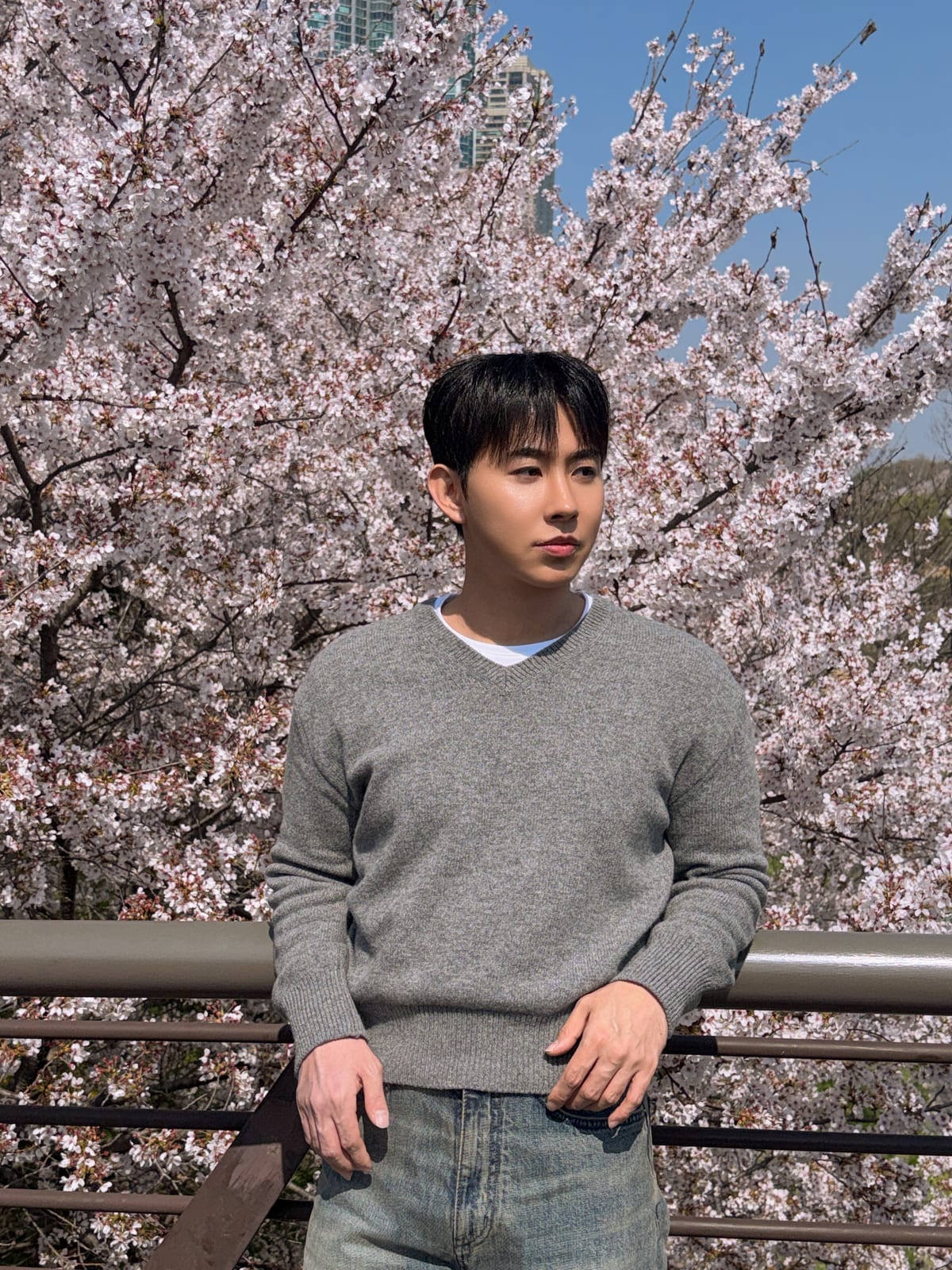 2026 벚꽃 — WKND MOOD
